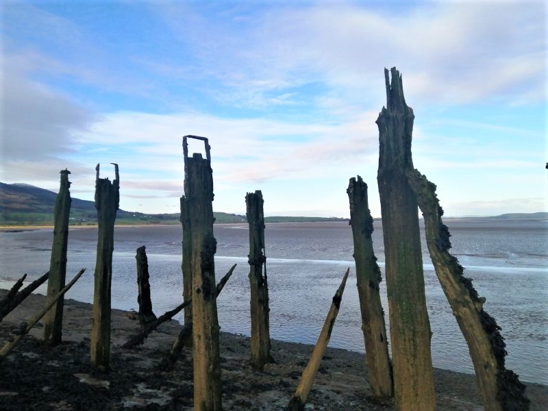 Carsethorn Pier, close up view of wooden posts at low tide on a partly sunny day
