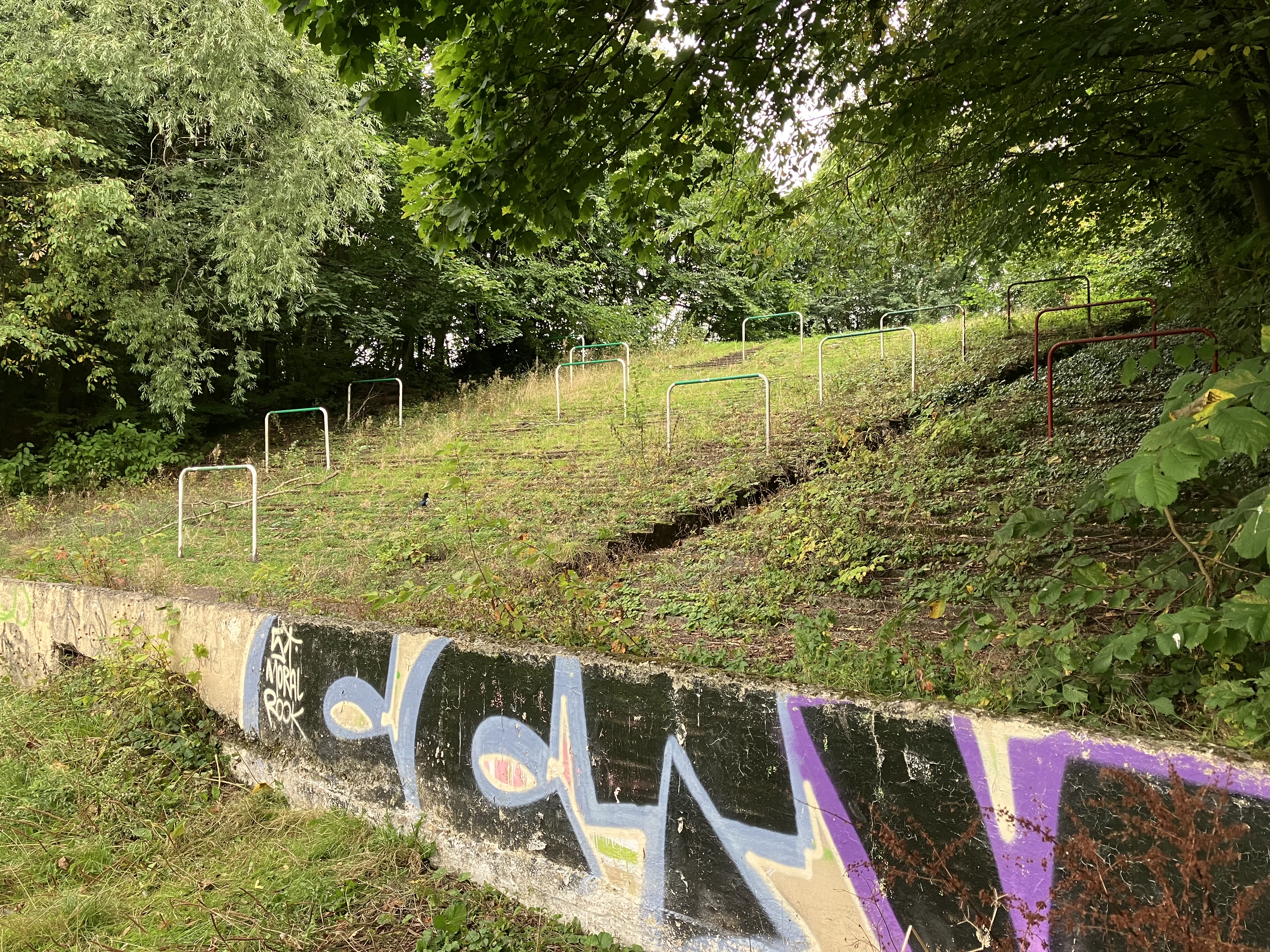 Cathkin Park, former football ground. A close-up view of terracing and crush barrier with colourful graffitii, and with trees in leaf in the background. 