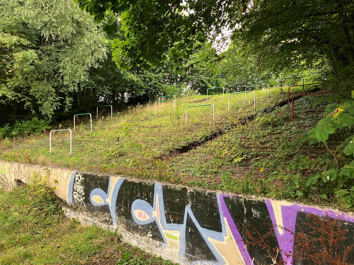 Overgrown grassy football terrace on a sloping hillside, with scattered metal railings marking former standing sections, surrounded by dense trees and foliage, and a low concrete wall in the foreground covered in colourful graffiti.